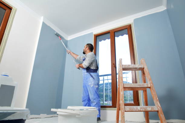 Best Residential Mold Inspection & Testing  in Wapakoneta, OH