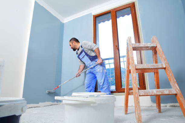 Best Dehumidification Services  in Wapakoneta, OH