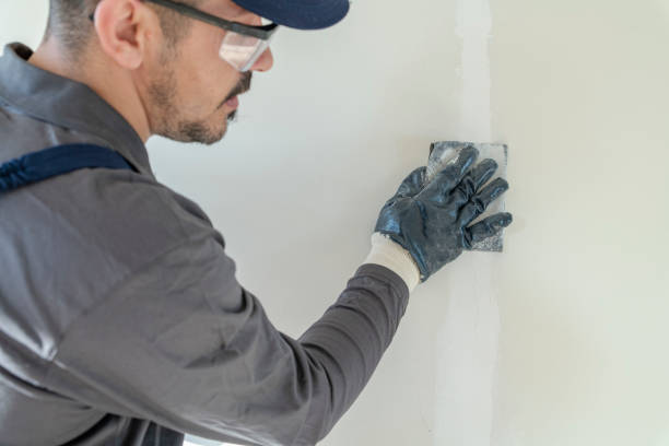  Wapakoneta, OH Mold Removal Pros