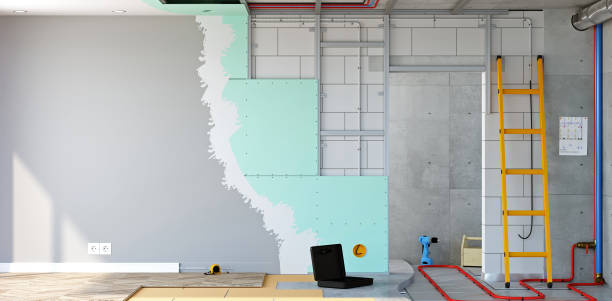 Trusted Wapakoneta, OH Mold Removal Experts