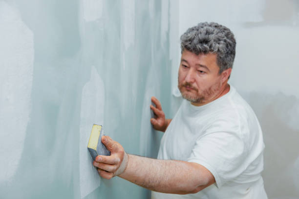 Best Real Estate Mold Inspection  in Wapakoneta, OH