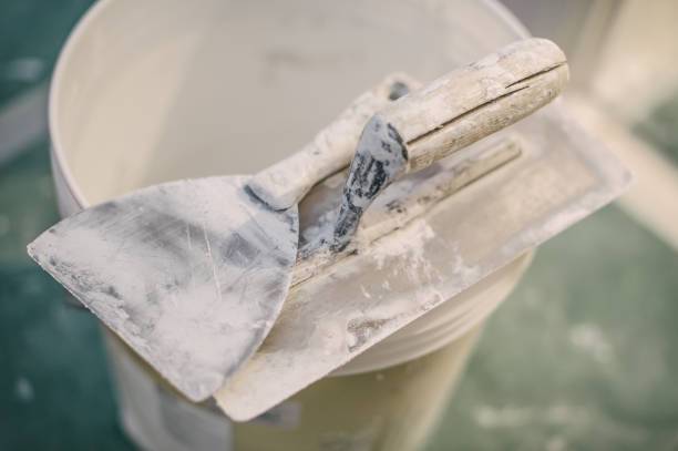 Best Black Mold Removal  in Wapakoneta, OH