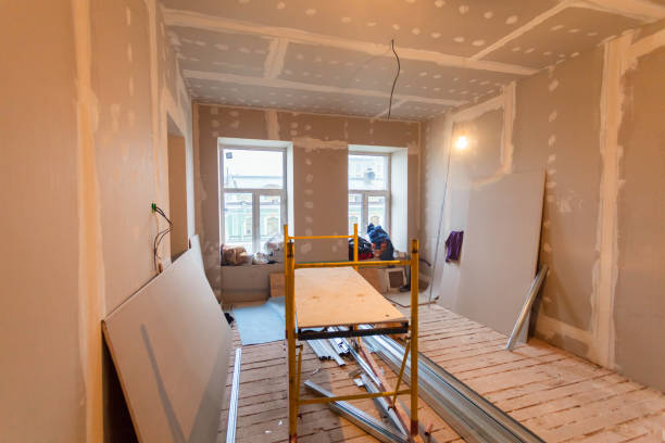 Best Commercial Mold Inspection  in Wapakoneta, OH